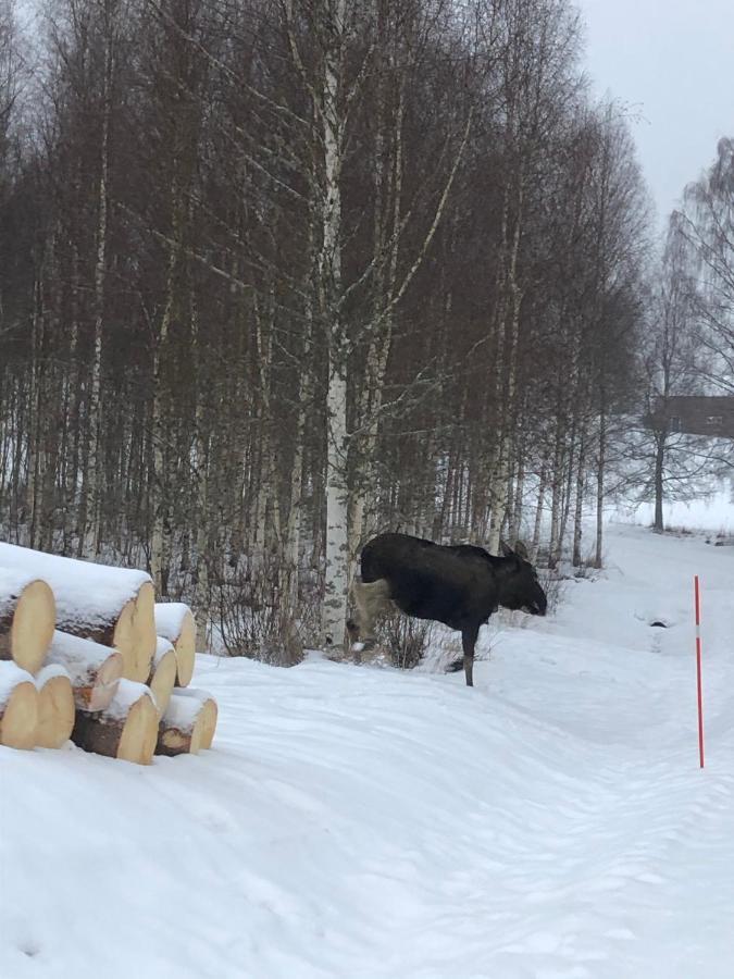 Trevlig Stuga Naera Hovfjaellet Torsby Εξωτερικό φωτογραφία