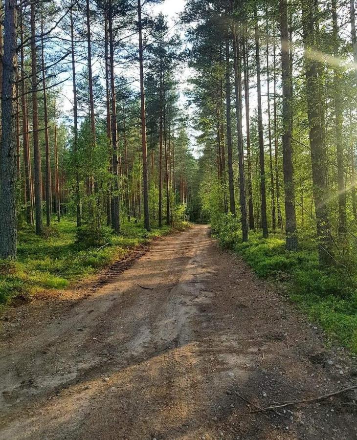 Trevlig Stuga Naera Hovfjaellet Torsby Εξωτερικό φωτογραφία