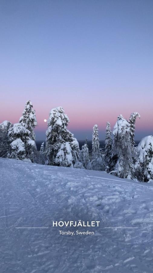 Trevlig Stuga Naera Hovfjaellet Torsby Εξωτερικό φωτογραφία