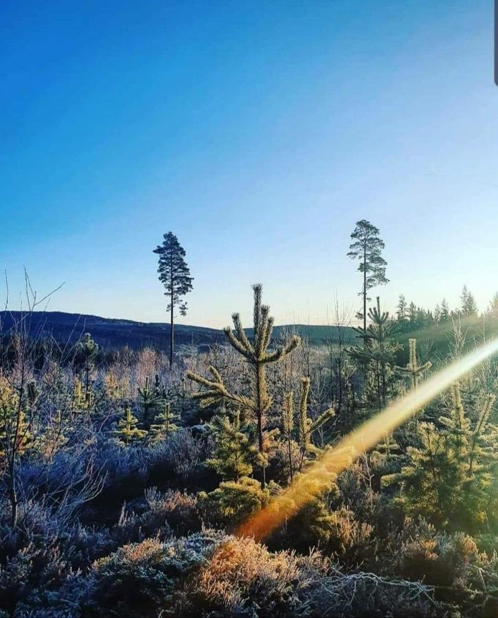 Trevlig Stuga Naera Hovfjaellet Torsby Εξωτερικό φωτογραφία